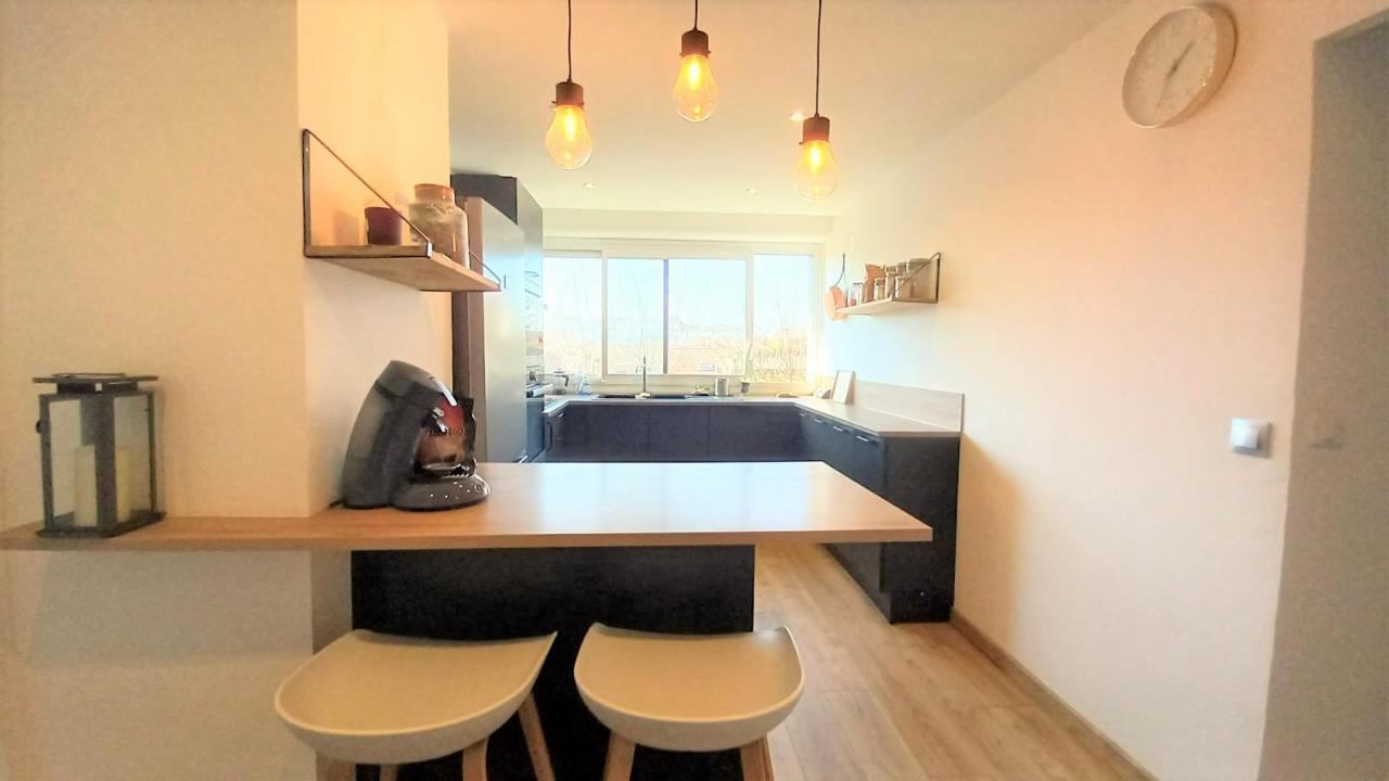 Magnifique Cocon - Metro A Republique - 2 Belles Chambres Avec Dressings - Wifi Gratuit - Netflix - Au Calme Absolu - Lumineux - Jardin Arbore Partage Dans La Residence Villeurbanne Ngoại thất bức ảnh